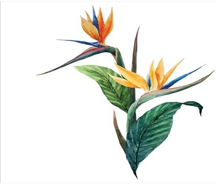 Ambesonne Tropical Soap Toothbrush Holder Set Ceramic
