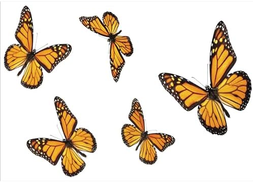 Ambesonne Butterfly Soap Dispenser Toothbrush Holder Set Earth Yellow Orange