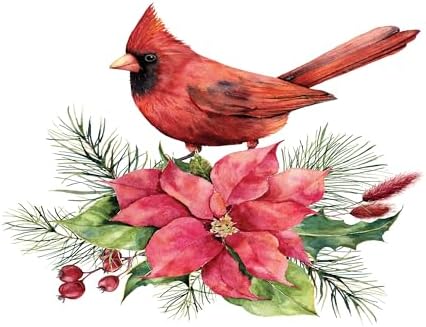 Ambesonne Poinsettia Soap Toothbrush Holder Set - 2 Pcs
