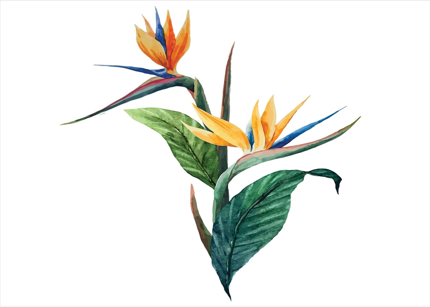 Ambesonne Tropical Soap Toothbrush Holder Set Ceramic